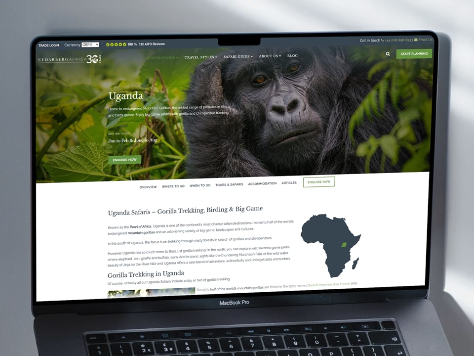 Cedarberg Travel - Desktop Design Mockup